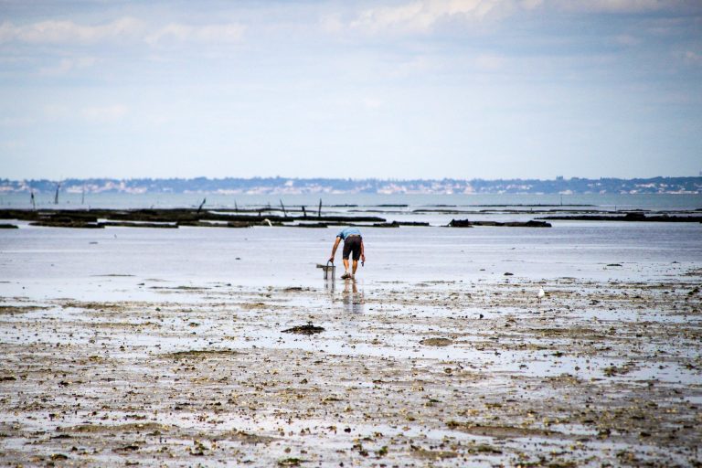 pêche à pied