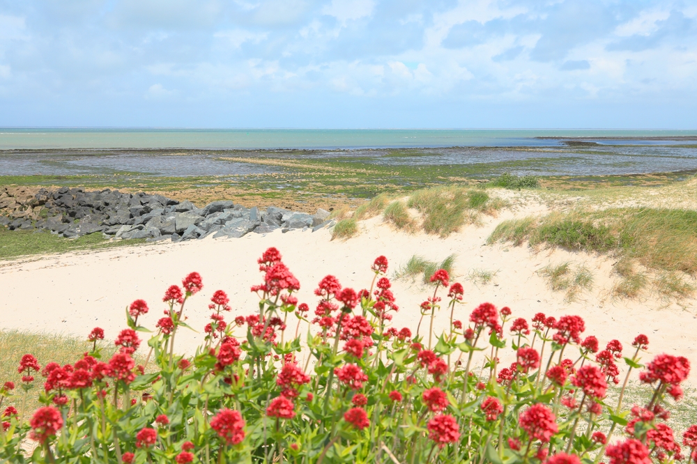 Plage sauvage proche du camping le Cormoran