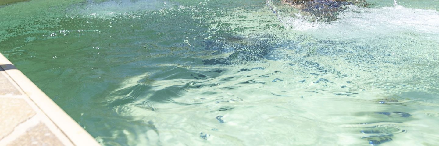 Eau claire bouillonnante dans une piscine extérieure.