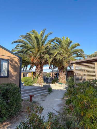 Extérieur arboré camping CORMORAN