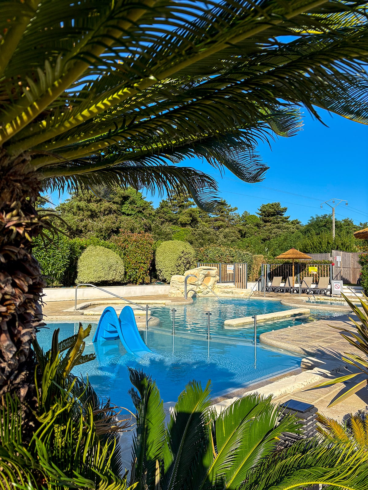 Piscine extérieure avec toboggan, entourée de palmiers.