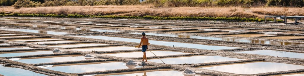 Marais salants proche d'Ars en Ré