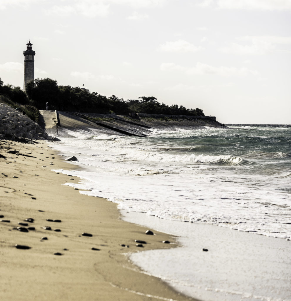 Plage ile de Ré proche du camping le Cormoran